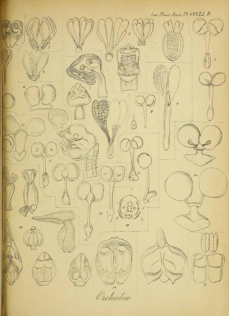 no HD illustration available (m5)