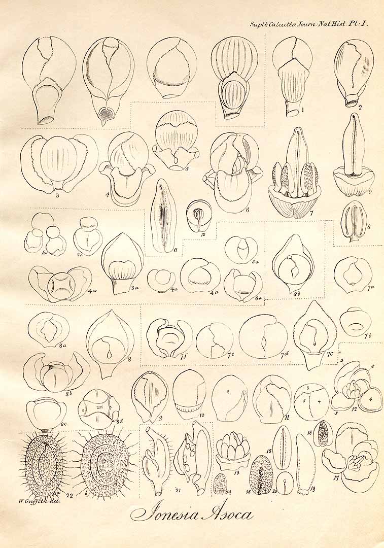no HD illustration available (m5)