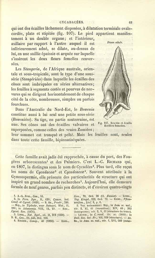 no HD illustration available (m5)