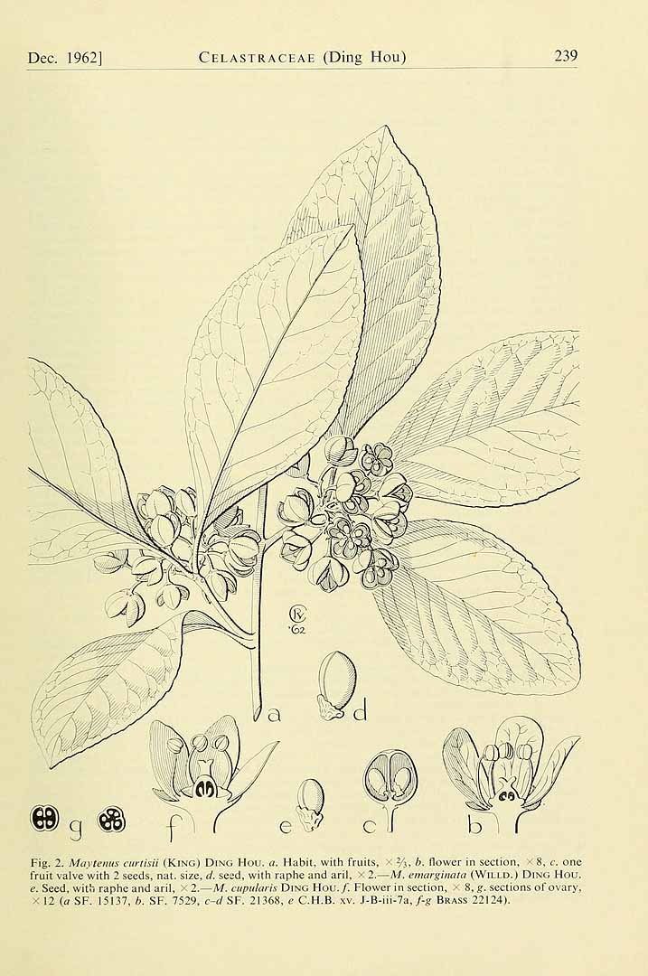 no HD illustration available (m5)