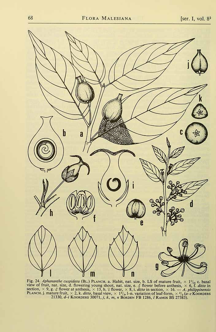 no HD illustration available (m5)