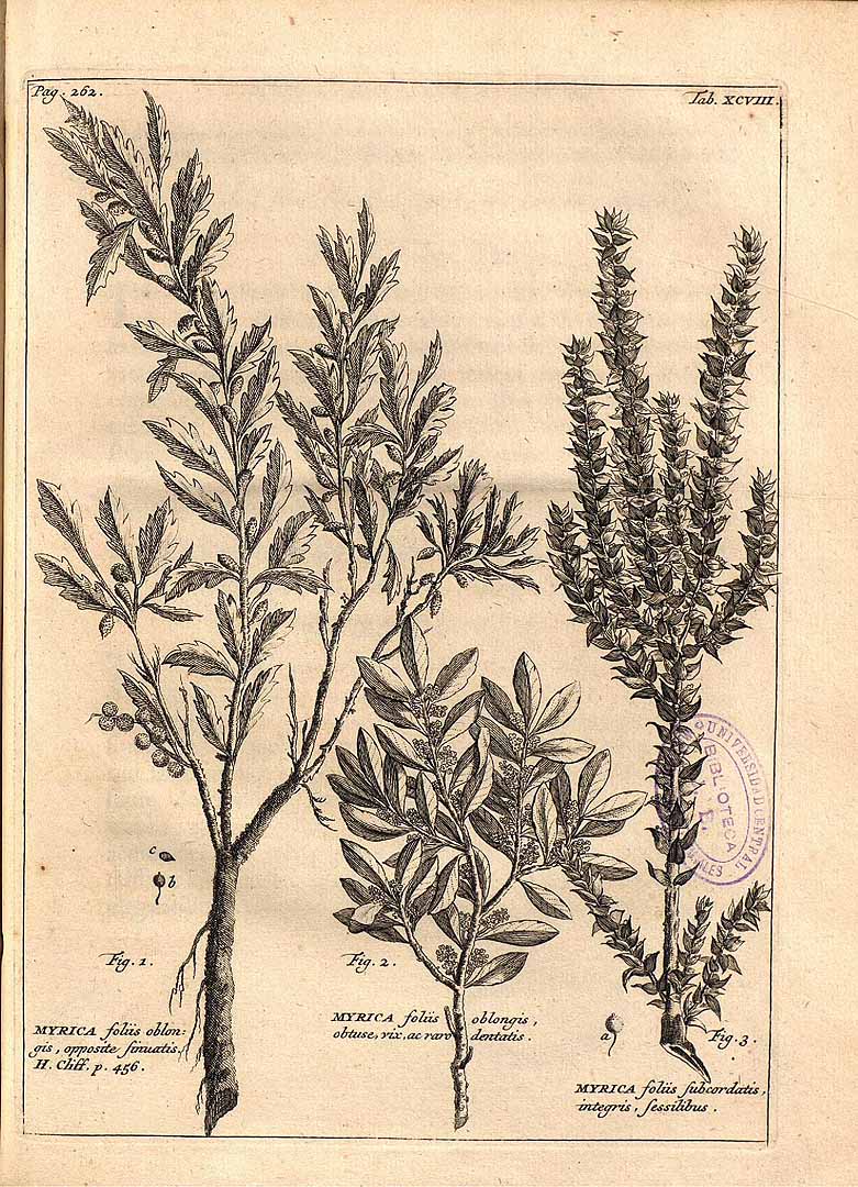 no HD illustration available (m5)