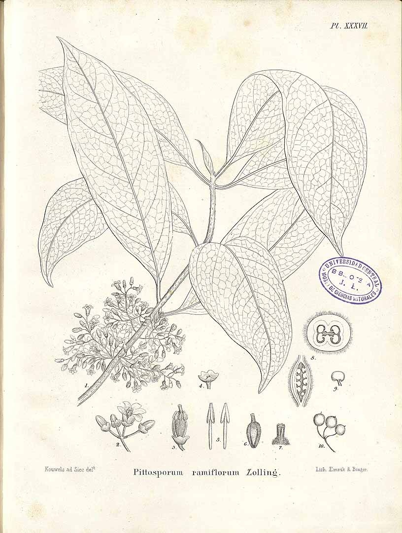no HD illustration available (m5)
