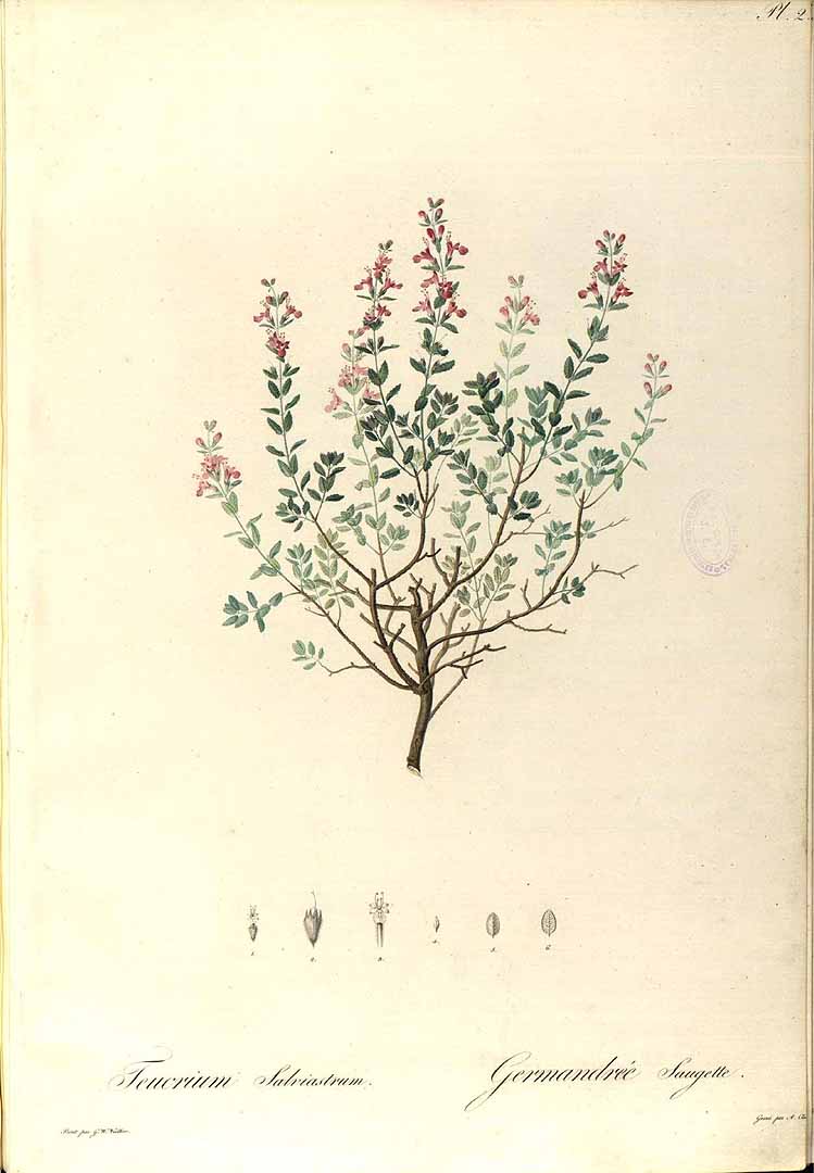 no HD illustration available (m5)
