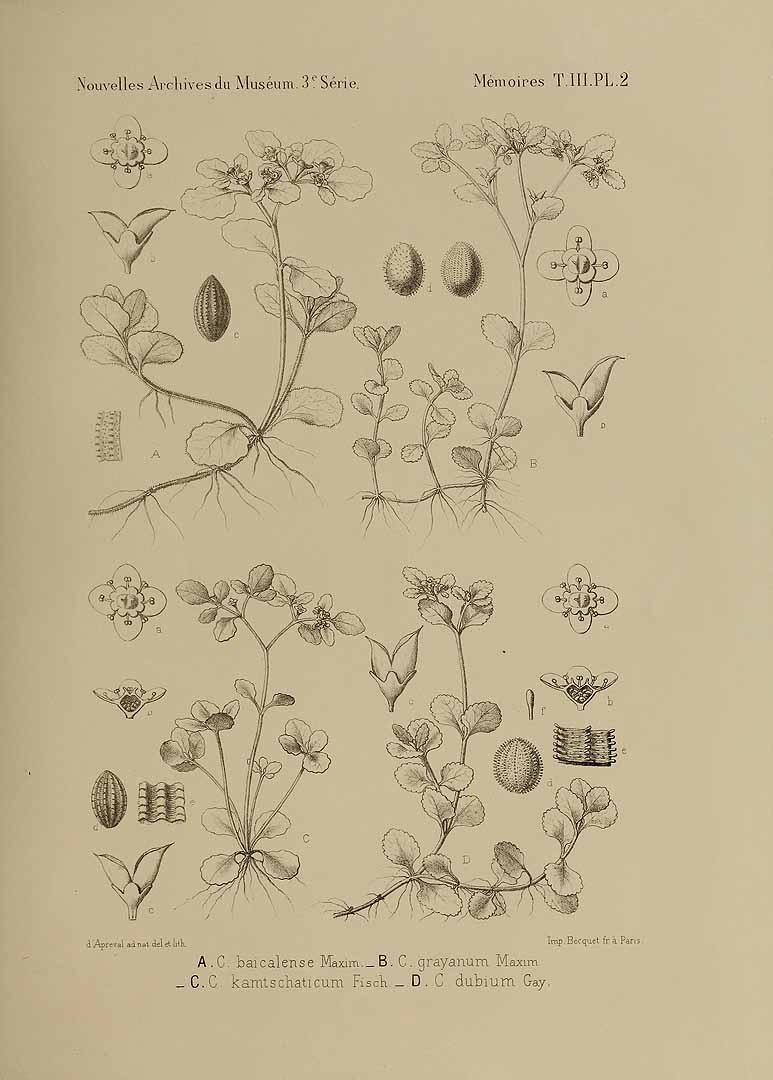 no HD illustration available (m5)