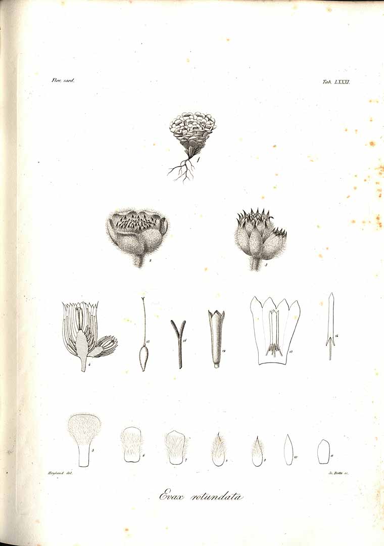no HD illustration available (m5)