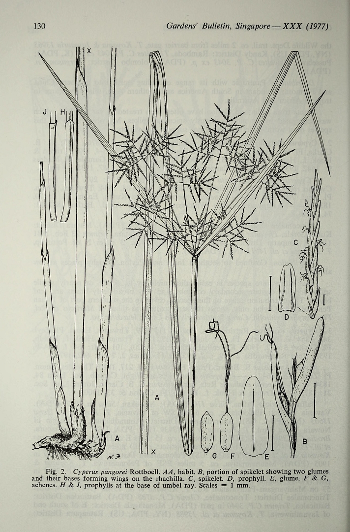 no HD illustration available (m5)