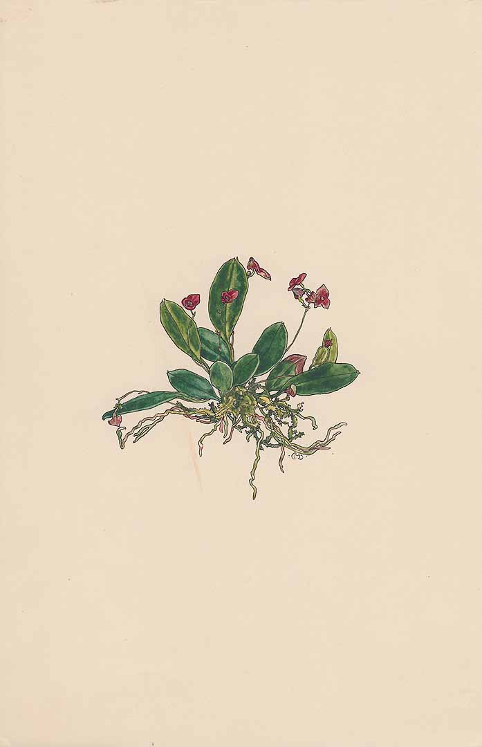 no HD illustration available (m5)