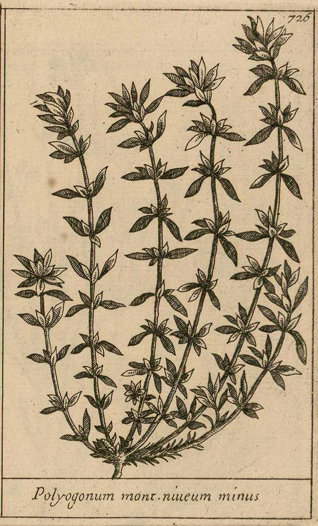 no HD illustration available (m1)