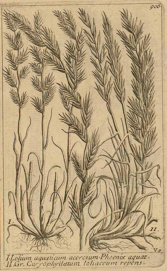 no HD illustration available (m5)