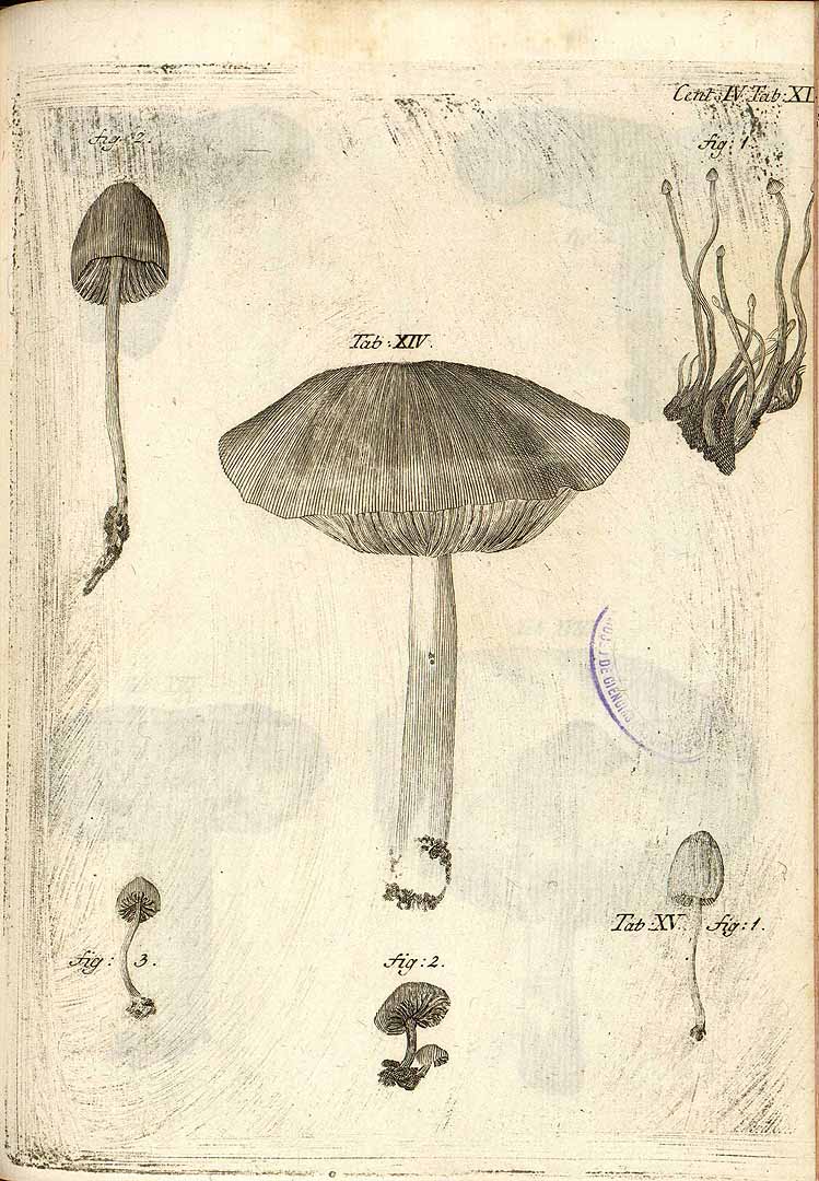 no HD illustration available (m5)