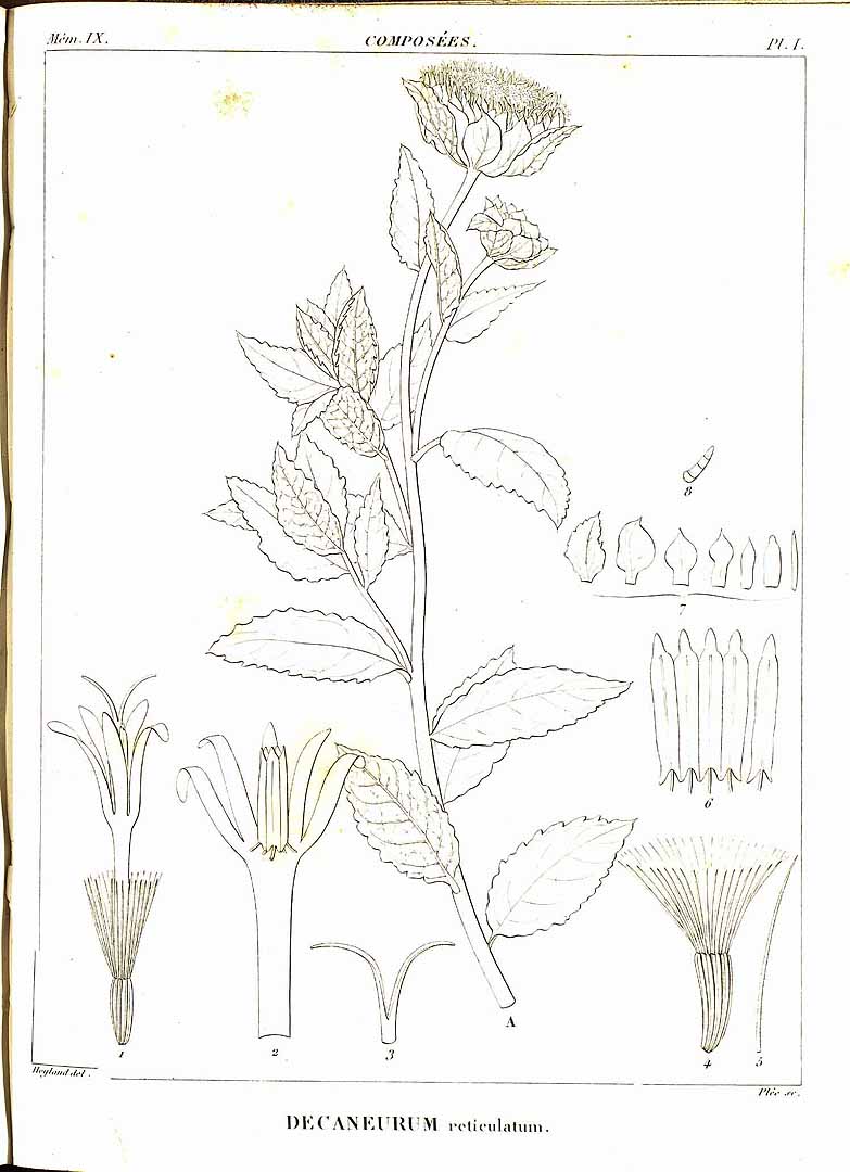 no HD illustration available (m5)