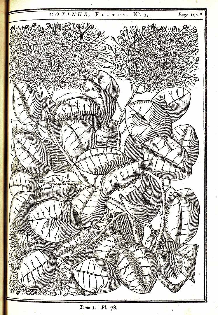 no HD illustration available (m5)