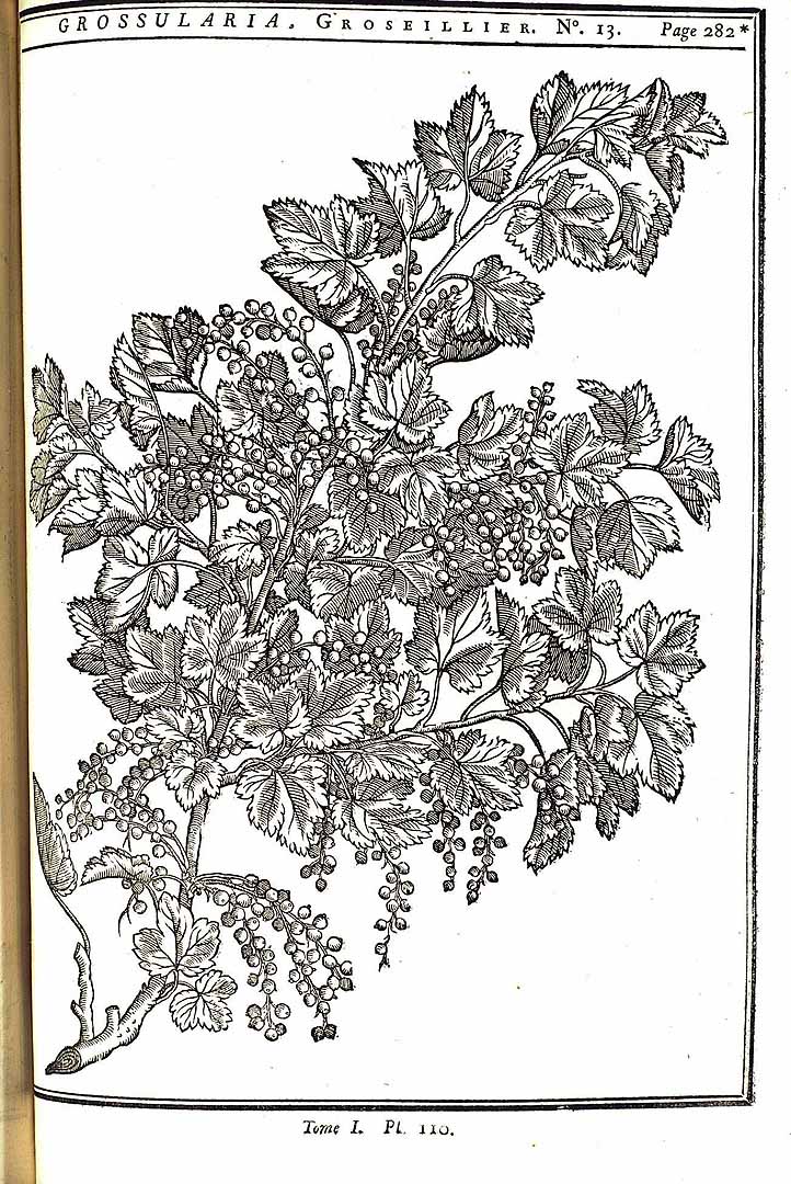 no HD illustration available (m5)