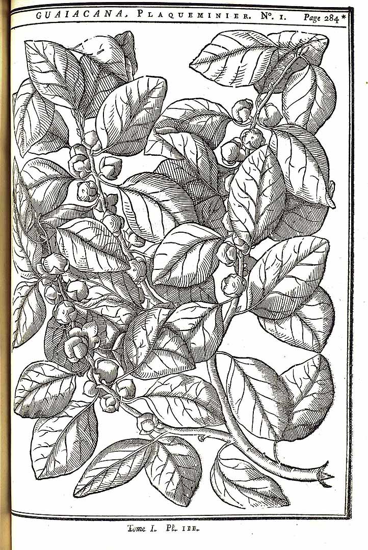 no HD illustration available (m5)