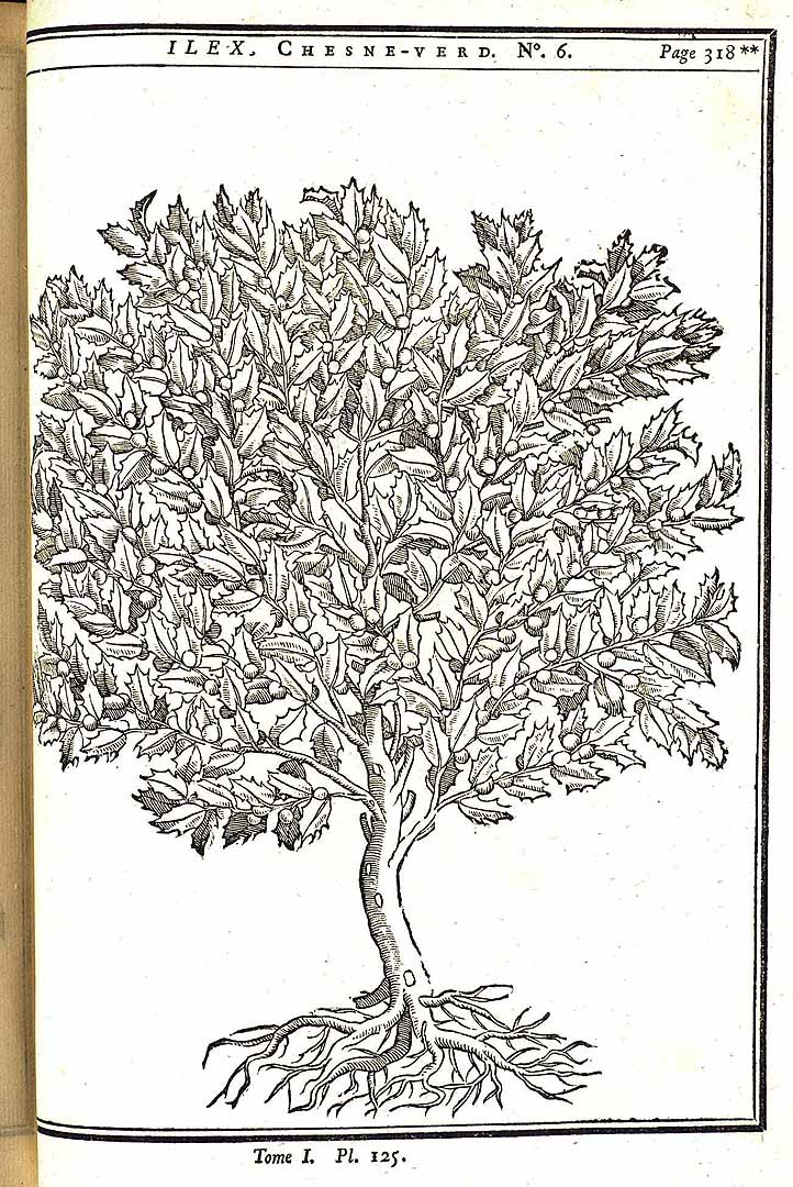 no HD illustration available (m5)