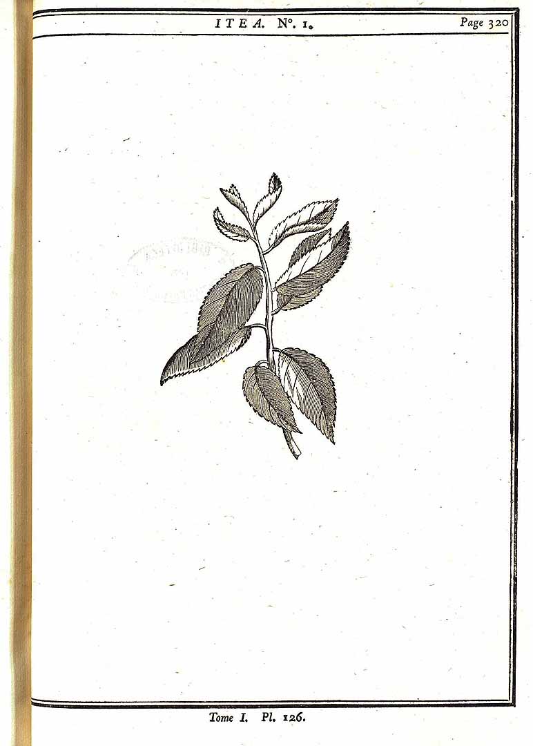 no HD illustration available (m5)