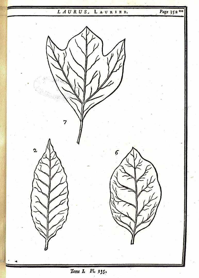 no HD illustration available (m5)