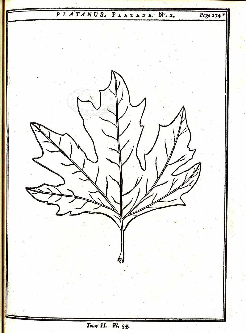 no HD illustration available (m5)