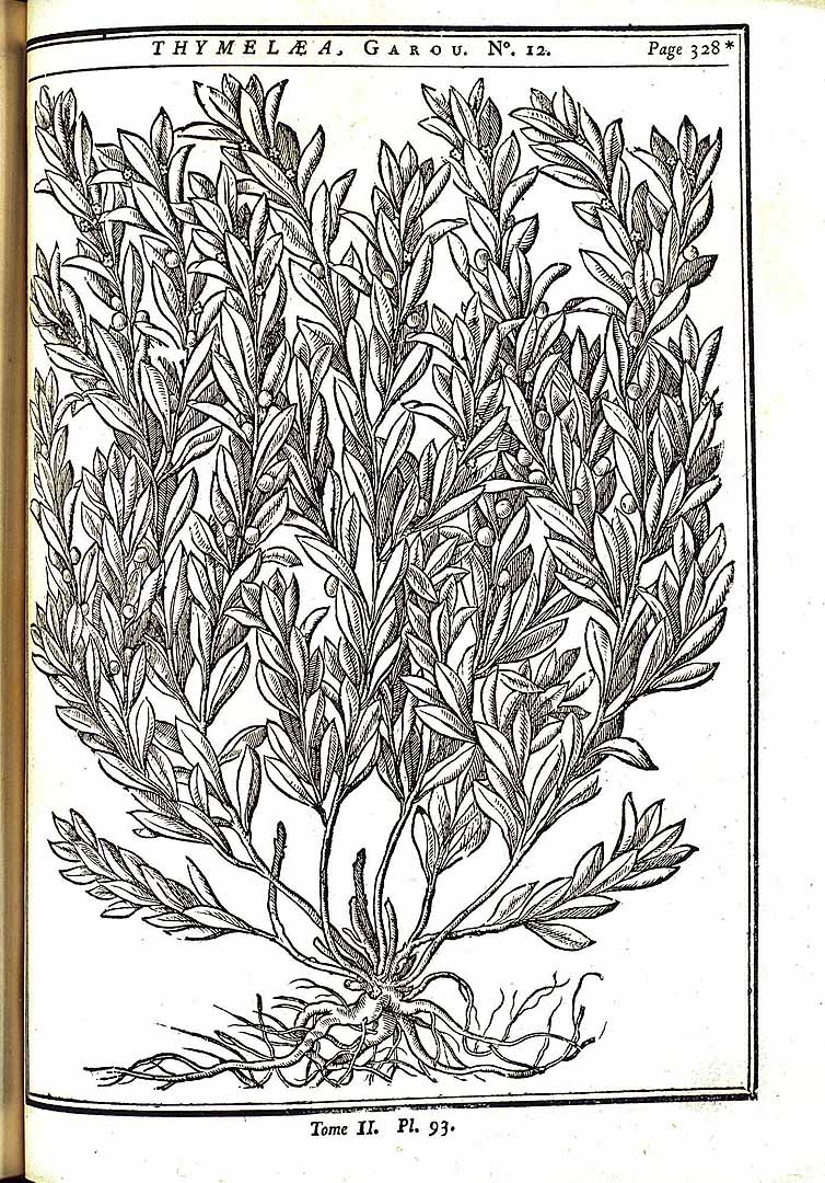 no HD illustration available (m5)