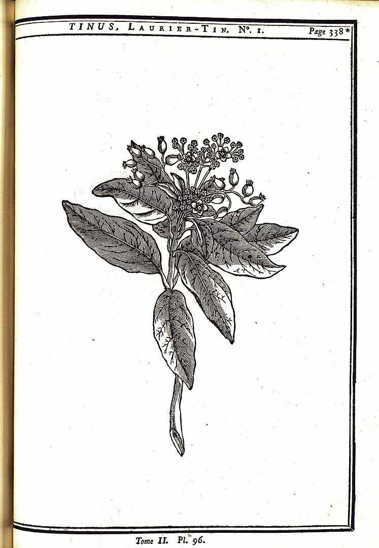 no HD illustration available (m5)