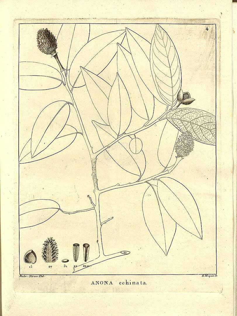 no HD illustration available (m5)