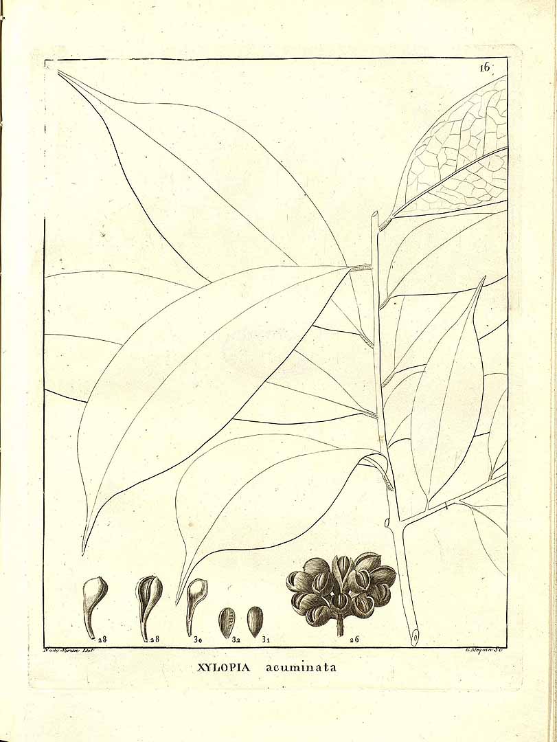 no HD illustration available (m5)