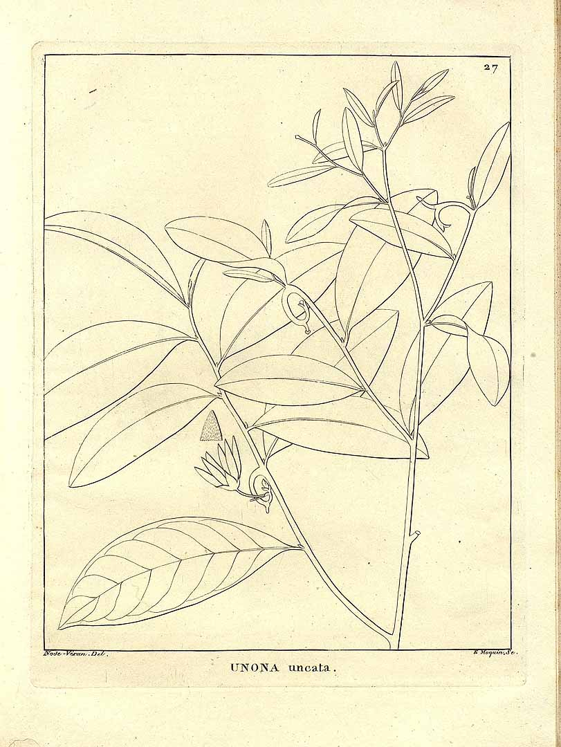 no HD illustration available (m5)