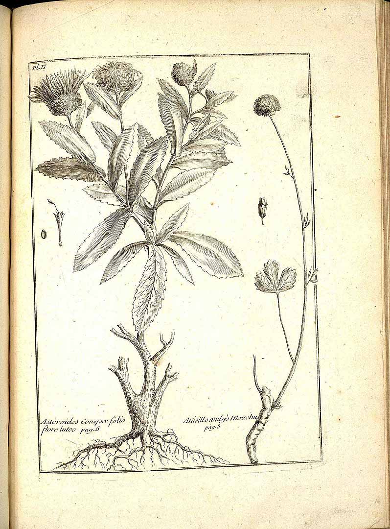 no HD illustration available (m5)