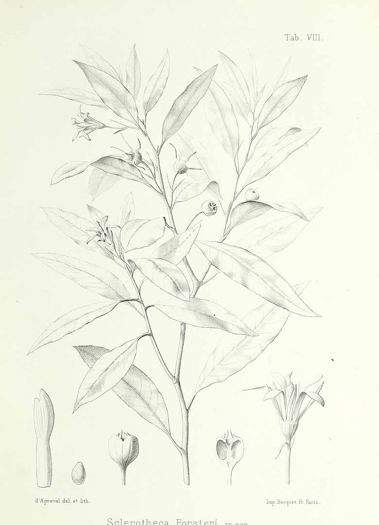 no HD illustration available (m5)