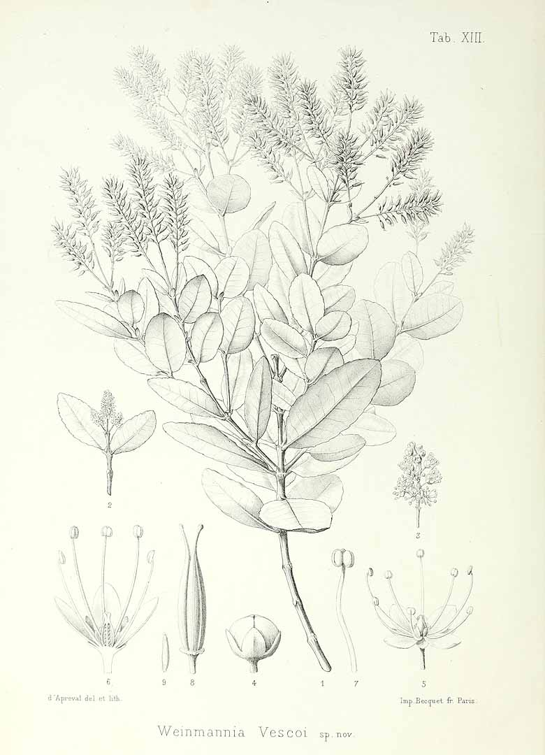 no HD illustration available (m5)
