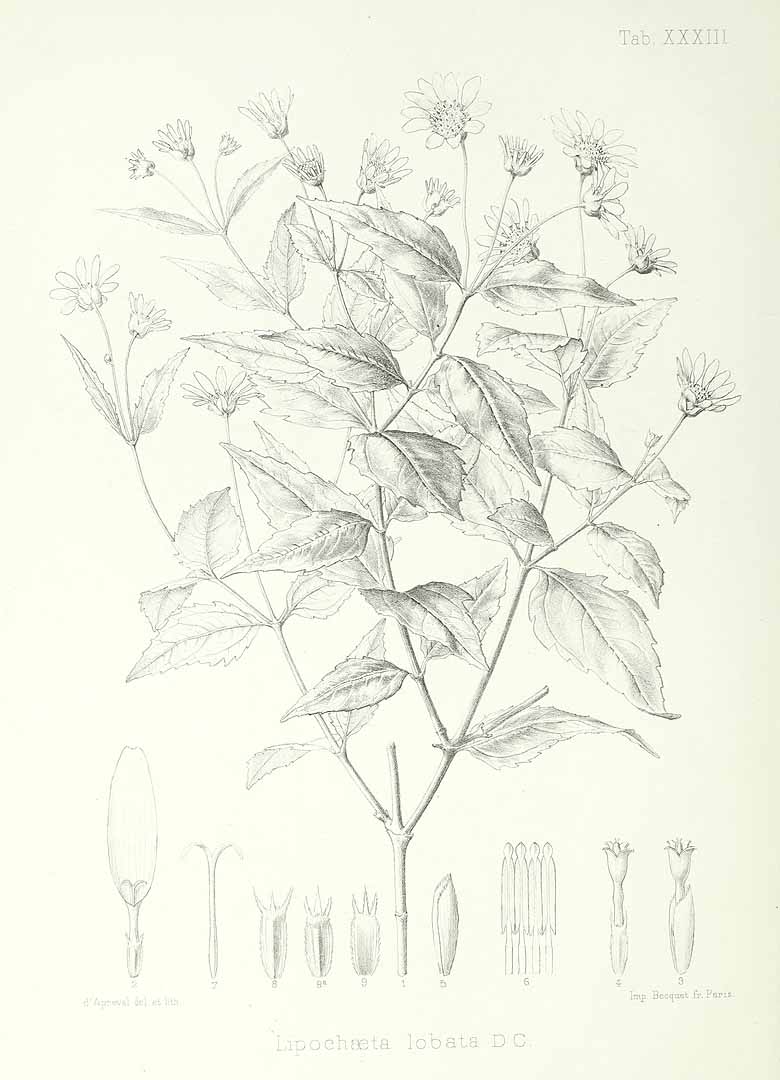 no HD illustration available (m5)