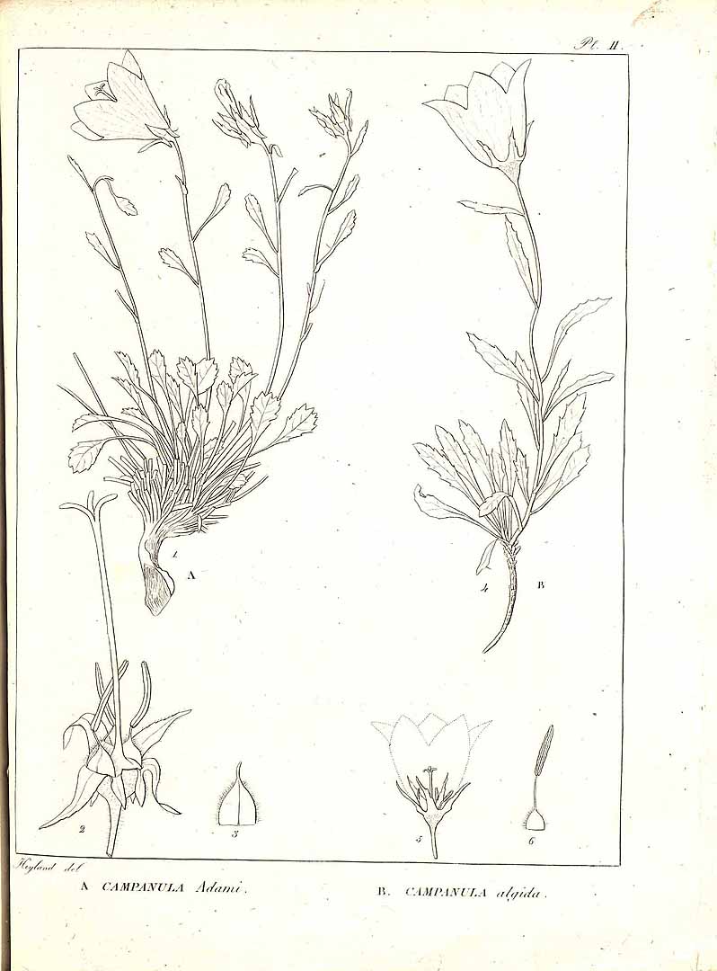 no HD illustration available (m5)
