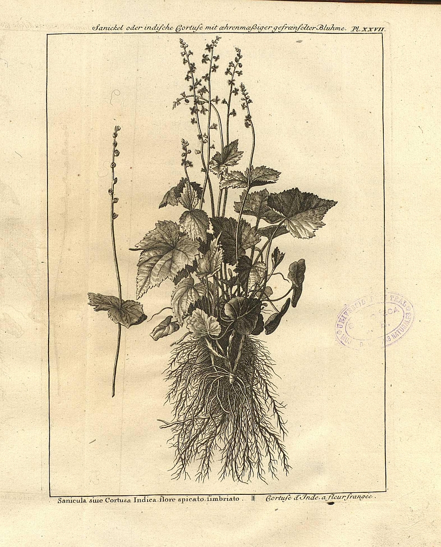 no HD illustration available (m4)