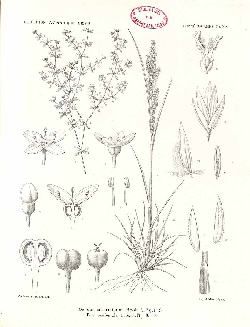 no HD illustration available (m5)