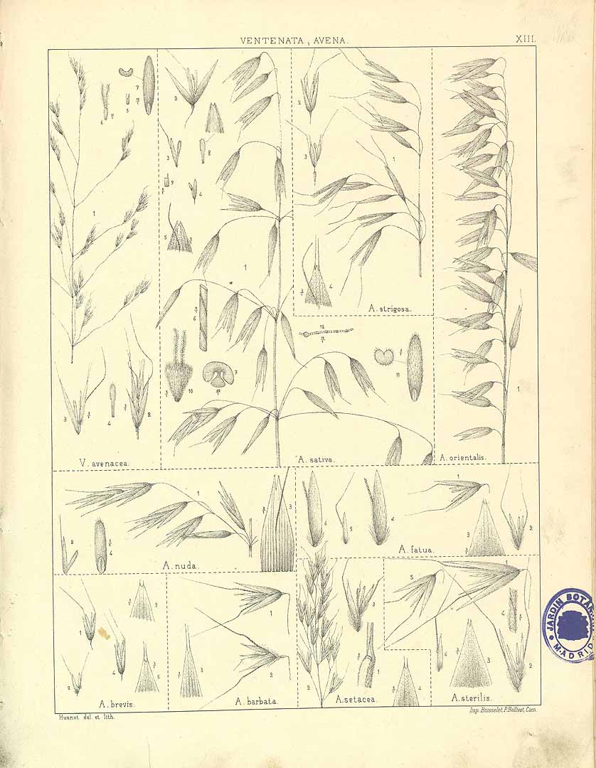 no HD illustration available (m5)