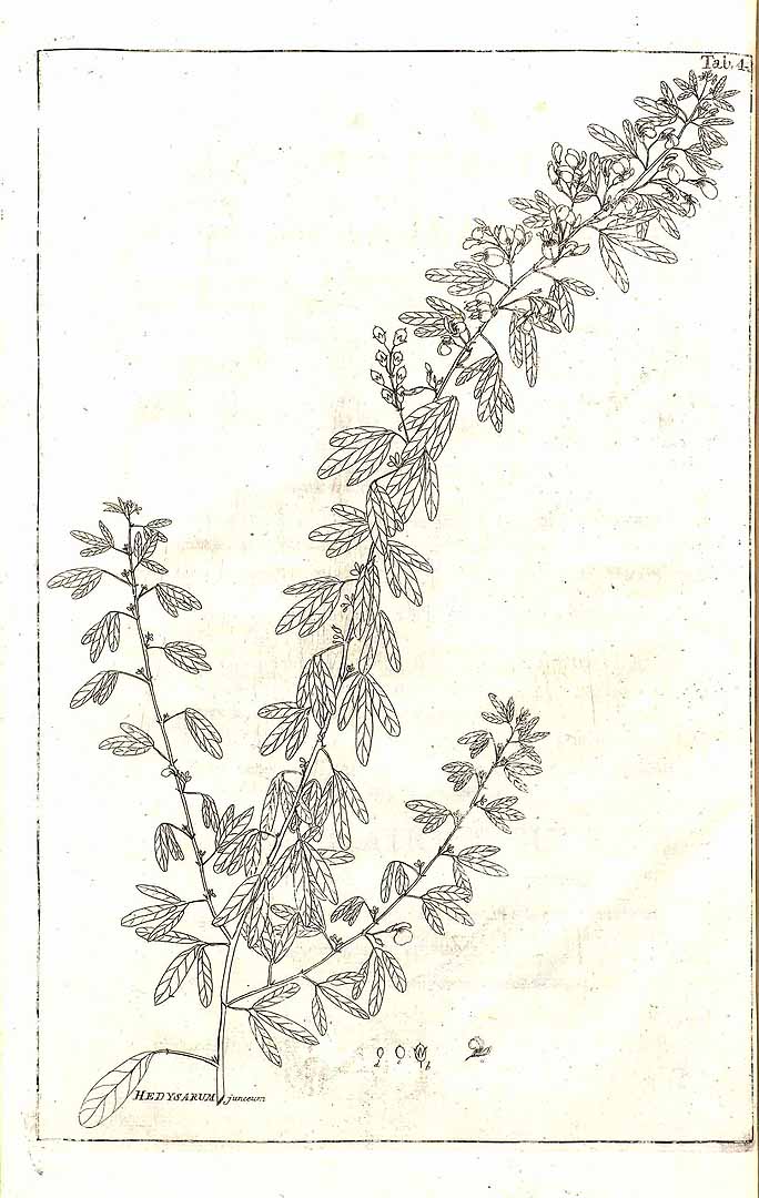 no HD illustration available (m5)