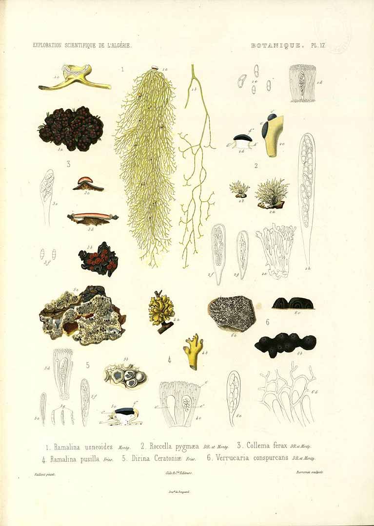 no HD illustration available (m5)