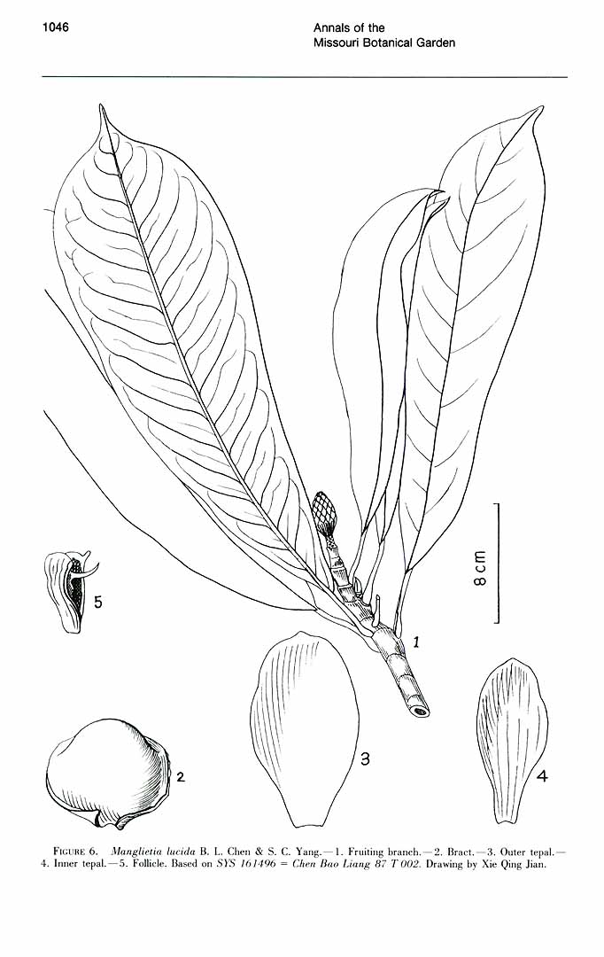 no HD illustration available (m5)