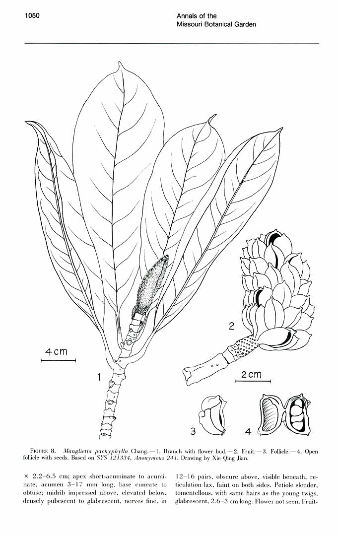 no HD illustration available (m5)
