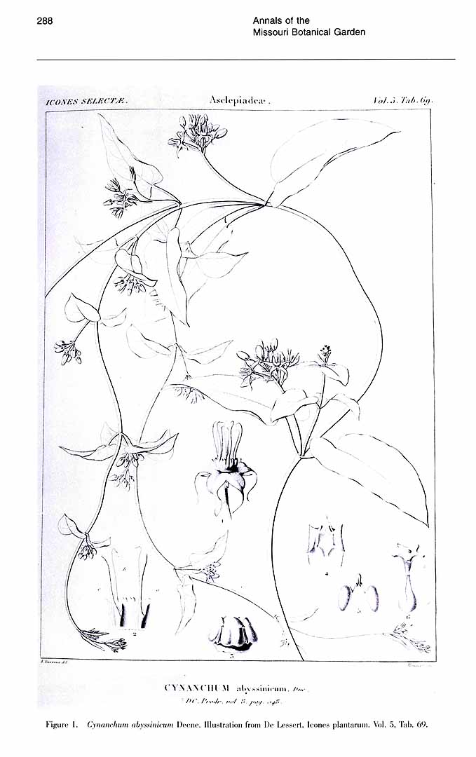 no HD illustration available (m5)