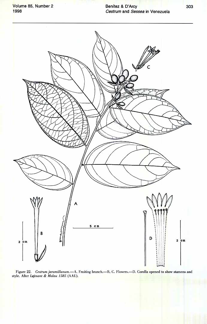 no HD illustration available (m5)