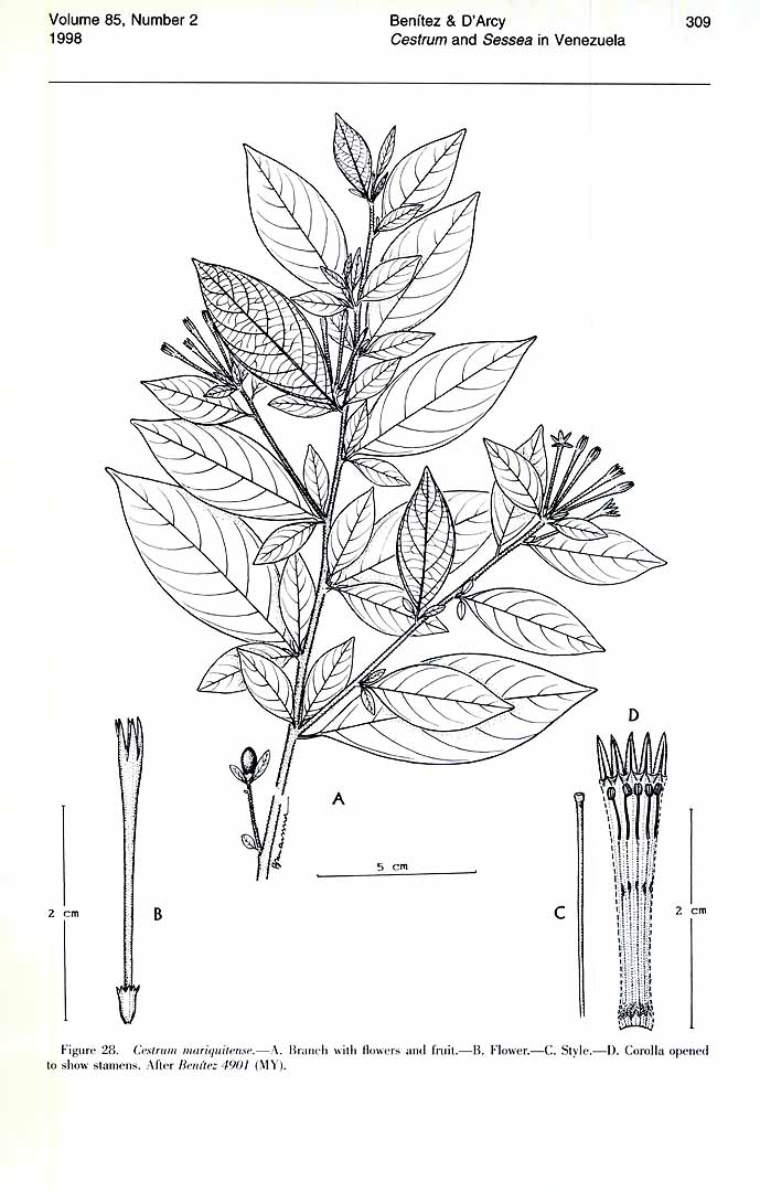 no HD illustration available (m5)