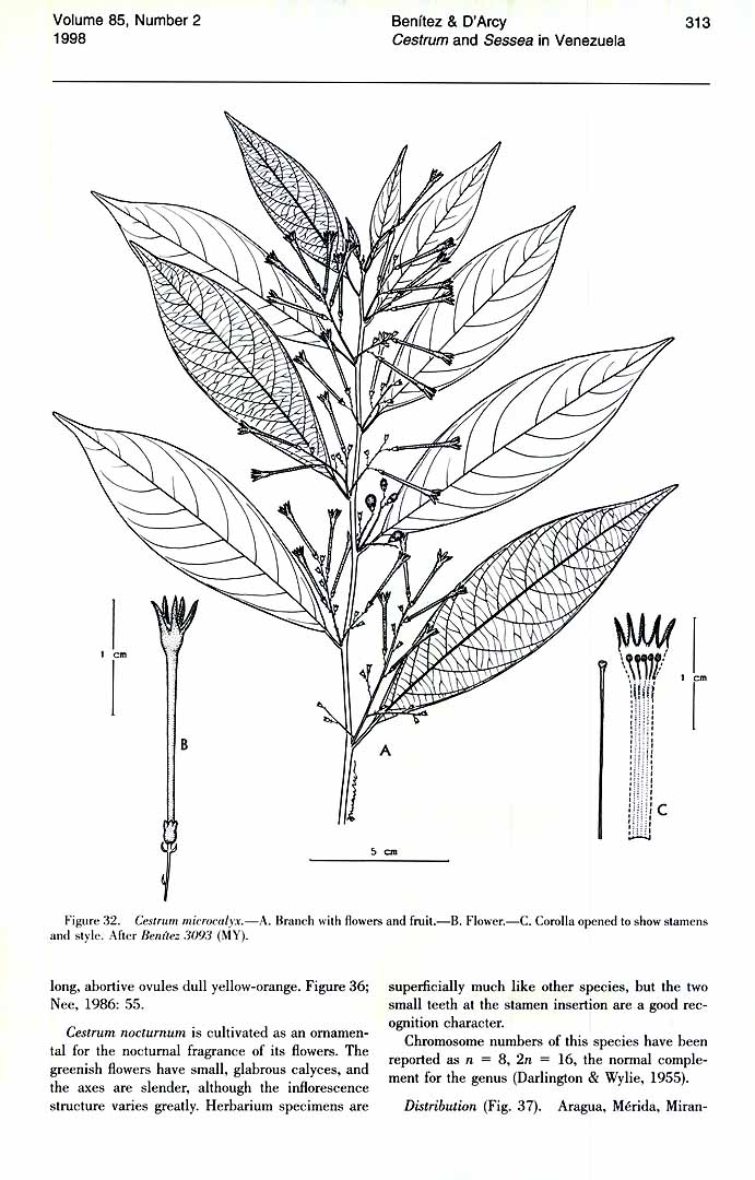 no HD illustration available (m5)