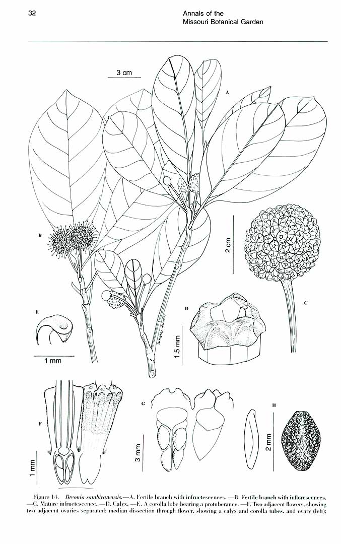 no HD illustration available (m5)