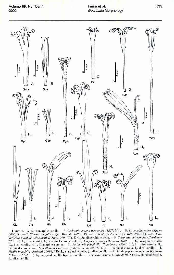 no HD illustration available (m5)