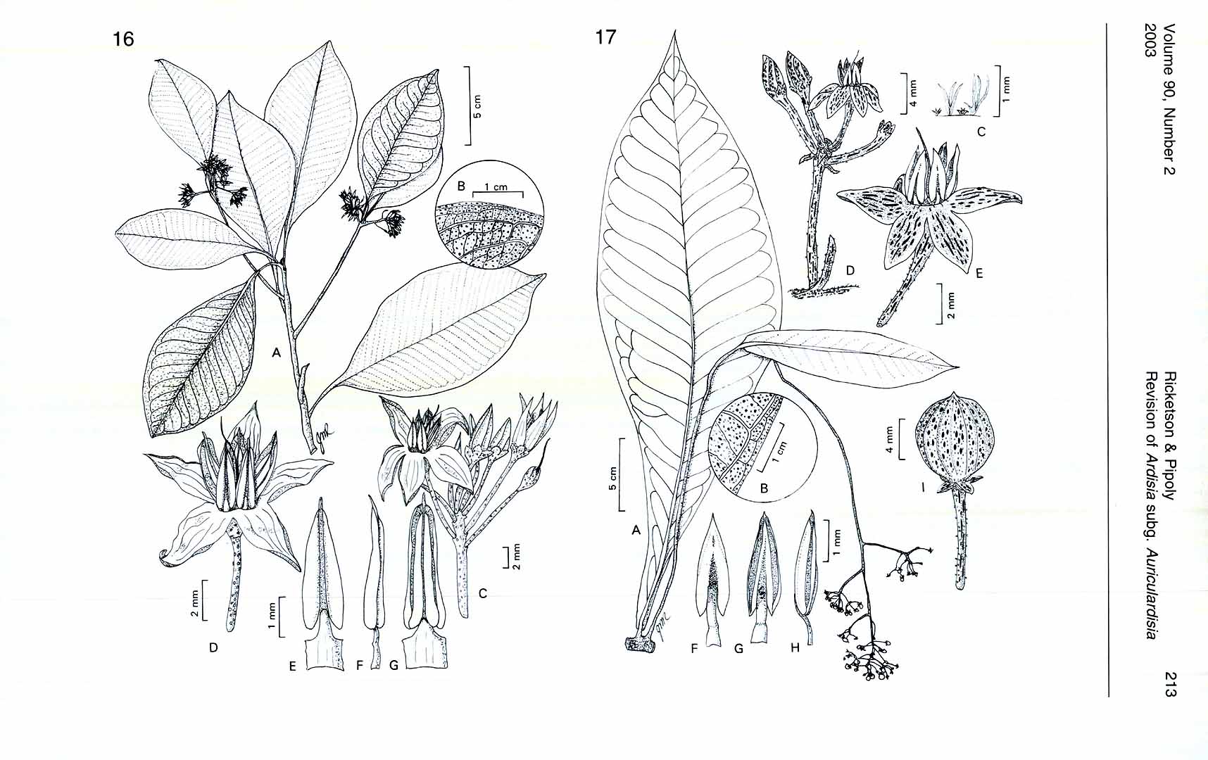 no HD illustration available (m5)