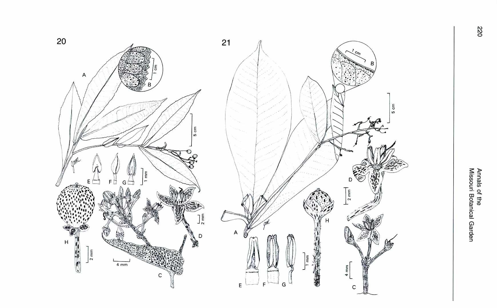 no HD illustration available (m5)