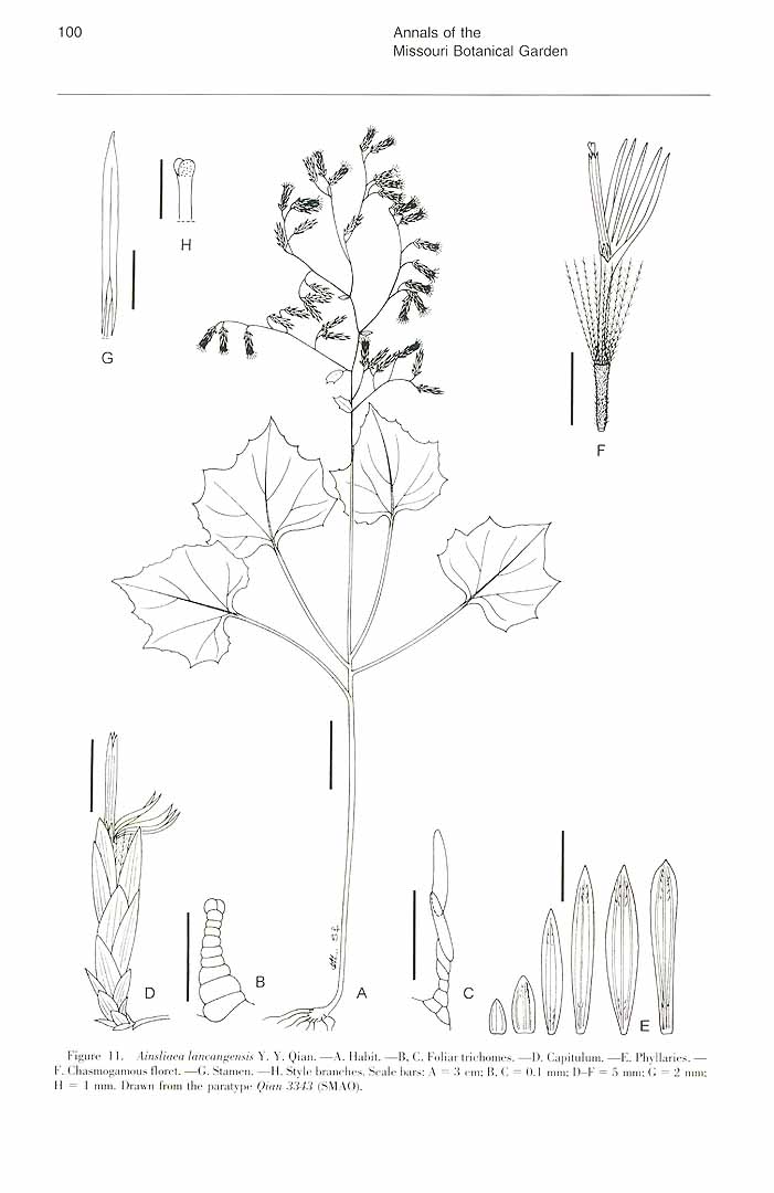 no HD illustration available (m5)