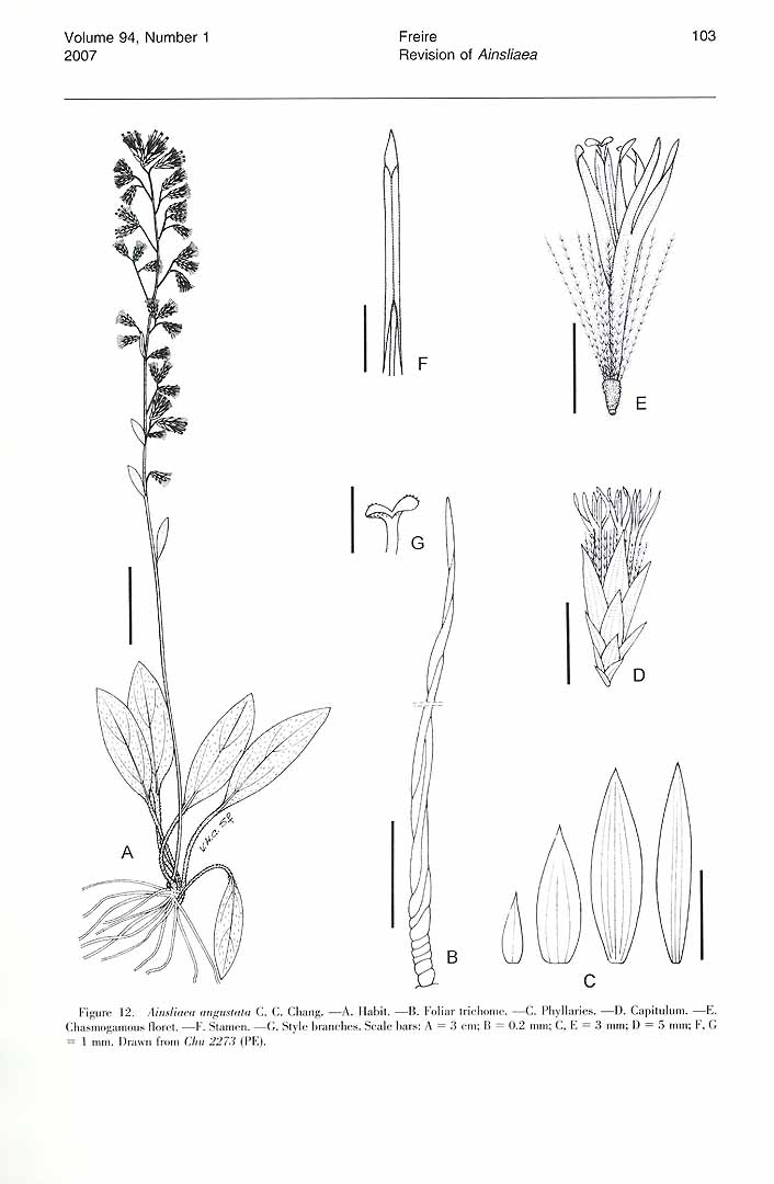 no HD illustration available (m5)